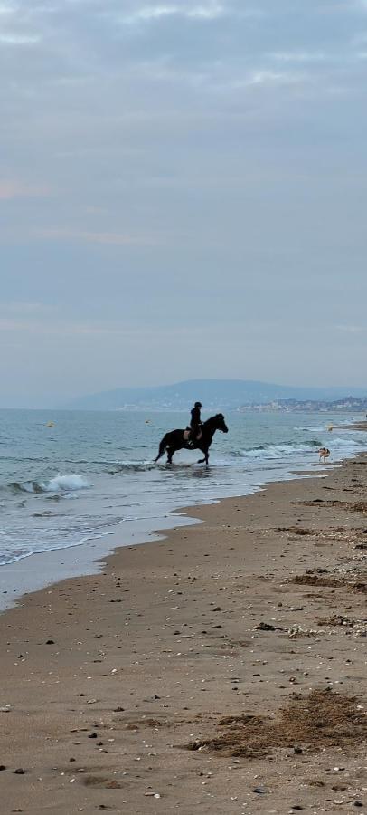 Villers Plage 1 Buitenkant foto